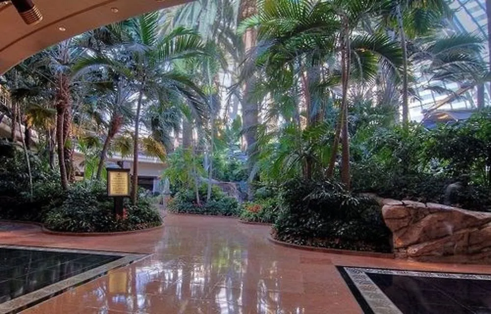 Hotel The Mirage Las Vegas