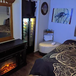 Homestay Turtles Spot, Las Vegas